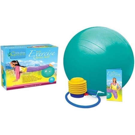WAI LANA PRODUCTIONS LLC Wai Lana Productions G-2101M Eco Exercise Ball Kit with Poster - Medium G-2101M